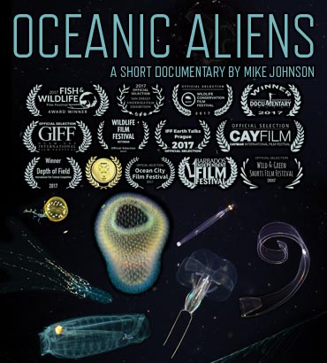 Oceanic Aliens Poster