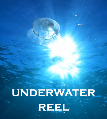 Underwater Reel Poster